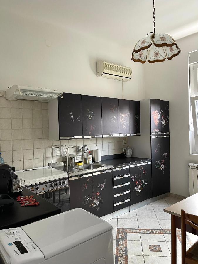 Apartman Alba Lejlighed Beograd Eksteriør billede